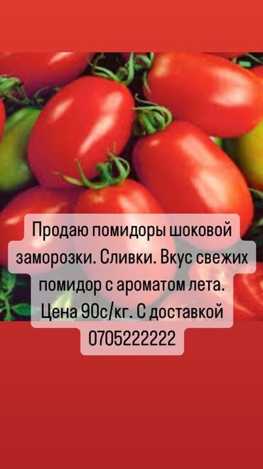 помидоры сливки: Замороженные овощи, Томаты, Шоковая