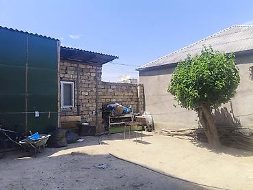 Torpaq sahələrinin satışı: Kənd təsərrüfatı — 4