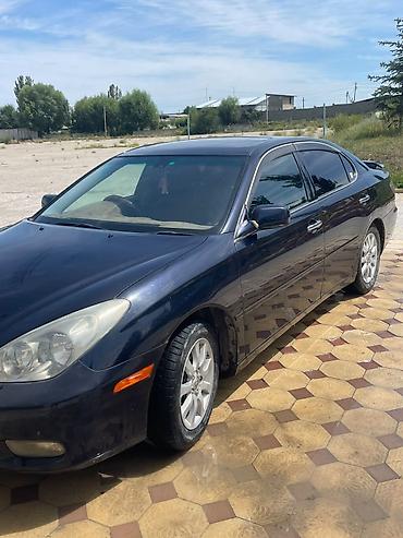 windom 2001: Toyota Windom: 2003 г., 3 л, Автомат, Бензин, Седан — 2