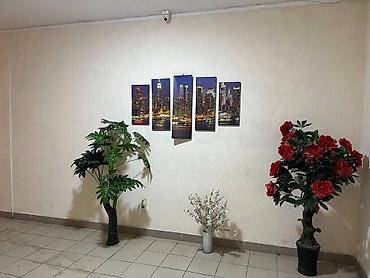 Продажа квартир: 3 комнаты, 82 м², Элитка, 5 этаж, Евроремонт — 15