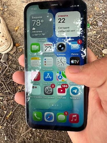Apple iPhone: IPhone 12 Pro, Б/у, 128 ГБ, Pacific Blue, Чехол, 100 % — 12