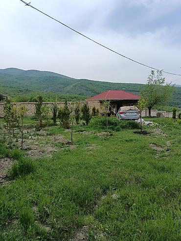 xizi: 3 otaqlı, 100 kv. m, Orta təmir — 5