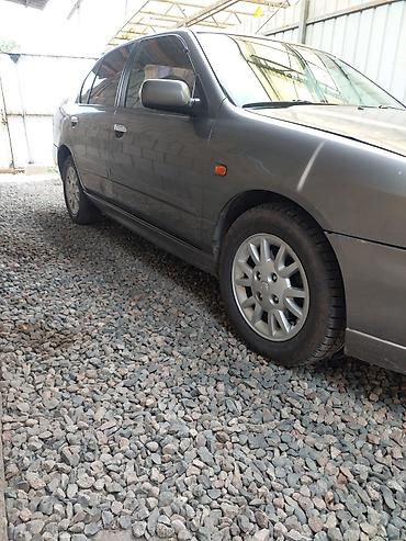 car kg: Другие автомобили — 3