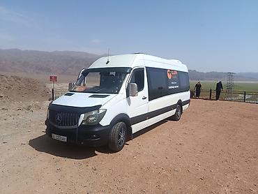 kia carnaval: Mercedes-Benz Спринтер: 2011 г., 3 л, Механика, Дизель — 1