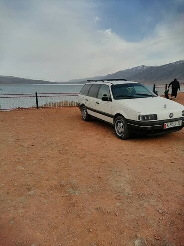 с4 моно: Volkswagen Passat Variant: 1991 г., 1.8 л, Механика, Бензин, Универсал