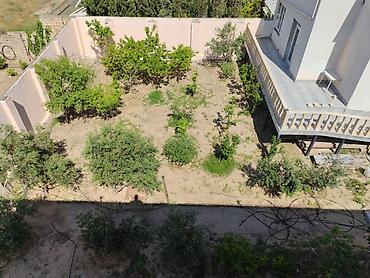 Bağ evlərinin satışı: Pírşağida kohne hamamin arxasinda,dənize panaramasi olan bag — 8