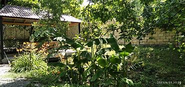 Günlük kirayə evlər: 100 kv. m, 3 otaqlı, Kombi — 9