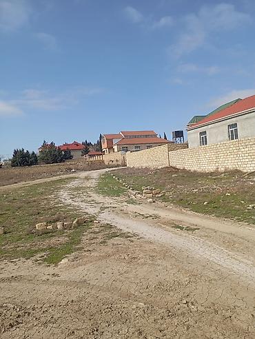 ha: 3 sot, Kənd təsərrüfatı, Kupça (Çıxarış) — 9