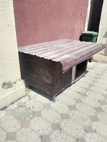 it yuvasi satilir: Möhkem taxdadan yıgılmış yuva heyvanlar üçün rengli laknan renglenib — 2