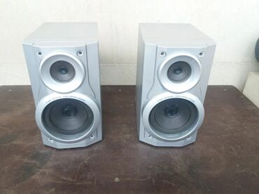 baku electronics paltaryuyan qiymetleri: Panasonic Kolonka, Növ - Akustik