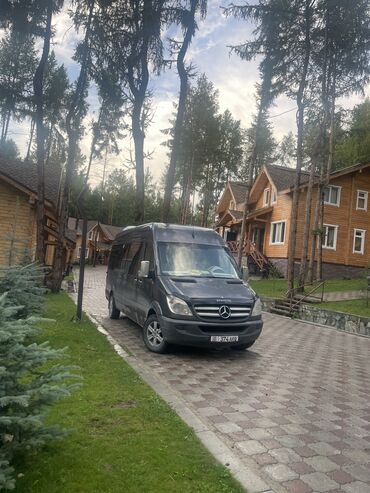 сапок рама 53: Автобус, Mercedes-Benz, 2011 г., 2.2 л, 16-21 мест