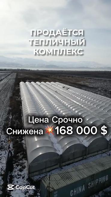 Теплица, 135 соток, Не действующий, С оборудованием