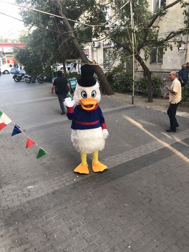 Digər biznes avadanlığı: Kukla skruc təzədircarnaval üçün cox yararlıdır — 9