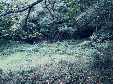 Günlük kirayə evlər: 176 kv. m, 5 otaqlı, Kanalizasiya, Artezian quyusu, Kombi — 9