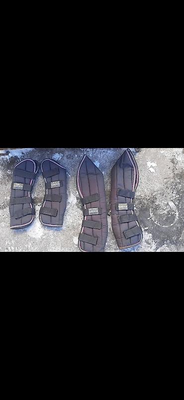 бекер уй: Для Лошади. Транспортный ноговка Ескадрон фирма хорошое. Бинт длина — 2