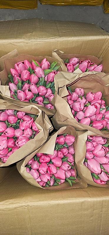 Букеты из живых цветов: Тюльпаны голландские ОПТОМ с луковицей и в розницу с оформлением (не — 7
