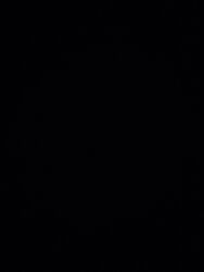 в бишкеке работа: Требуется Пастух, Оплата Почасовая, Обучение