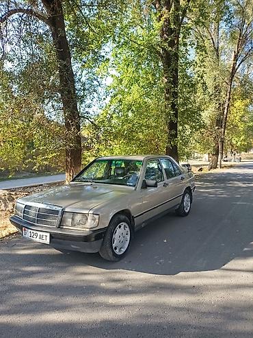 Mercedes-Benz 190: 1984 г., 2 л, Механика, Бензин, Седан