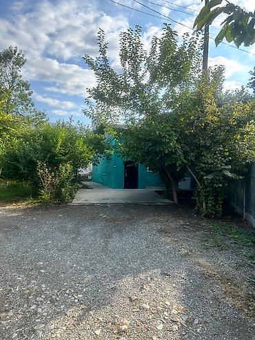 Bağ evlərinin kirayəsi: 🏡 İSMAYILLI – CÜLYAN KƏNDİNDƏ GÜNLÜK BAĞ EVİ | 50 AZN İsmayıllının — 12