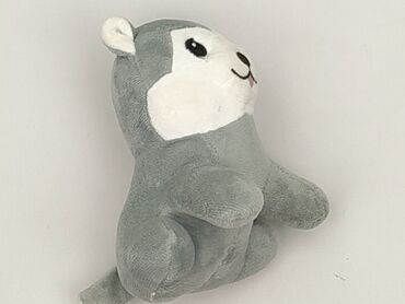 koszulka z pikachu: Mascot condition - Very good