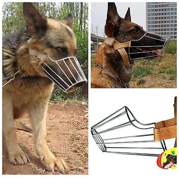 Зоотовары: Питомец вечно дёргает поводок во время прогулок?Представляем вам — 12