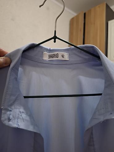 light blue: Блузка, Классическая модель, Хлопок, Однотонный — 3