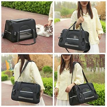 Зоотовары: ПРОДАЮ ПАРОВЫЕ МАШИНКИ ДЛЯ ВЫЧЕСЫВАНИЯ КОШЕК И СОБАК,А ТАК ЖЕ — 27