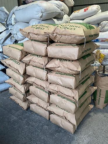 Sainfoin seeds: Семена беде урук Эксцпарсет жугору сулуу арпа урук бар месный баарына — 2