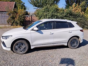 BYD: BYD E2: 2023 г., Электромобиль — 4