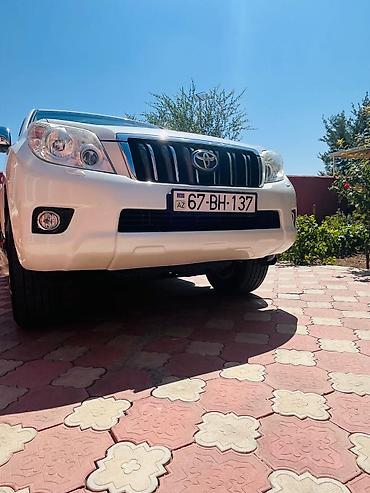 фольксваген поло л с: Toyota Land Cruiser Prado, ağ rəng, 5 qapı, tam ölçülü SUV — 1