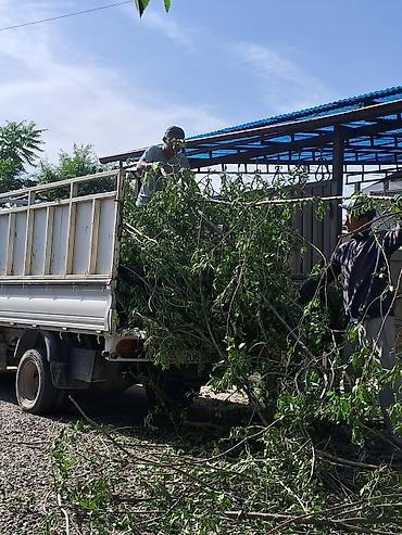 Аймактарды жыйнап тазалоо, Уборка двора и сада