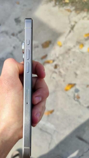 Apple iPhone: IPhone 15 Pro Max, Б/у, 256 ГБ, Natural Titanium, Чехол, 89 % — 4