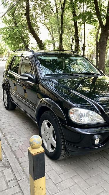 w163: Mercedes-Benz M-Class: 2003 г., 4 л, Типтроник, Дизель, Кроссовер — 5