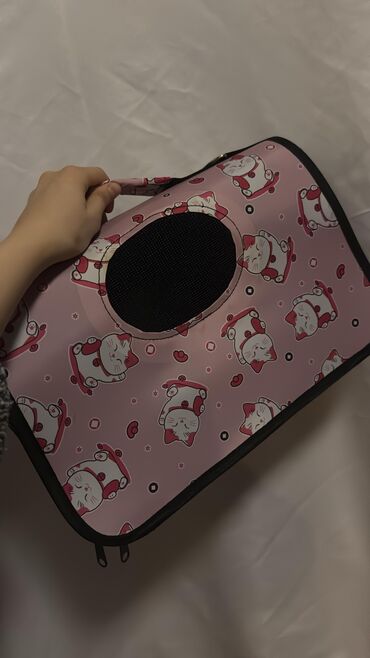 Pişiklər: Şotland yastı qulaq, Dişi, Yaxşı əllərə, Ödənişli çatdırılma — 4