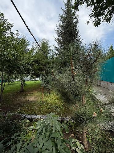 жаргылчак село: 2 комнаты, 73 м², Электричество, Холодная вода — 9