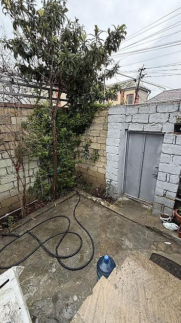 elmlerde satilan evler: 3 otaqlı, 56 kv. m, Kredit yoxdur, Yeni təmirli — 3