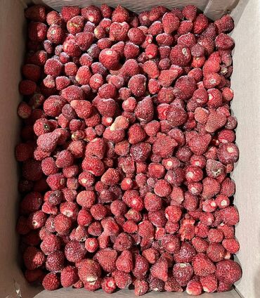картонные коробки оптом бишкек: Замороженные фрукты, ягоды, Клубника, Шоковая, Оптом