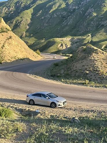 соната аксессуары: Hyundai Sonata: 2018 г., 2 л, Автомат, Газ, Седан — 7