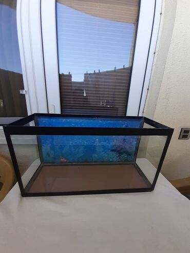 pişik qum qabı: Dördbucaq akvarium, Boş, 40 l