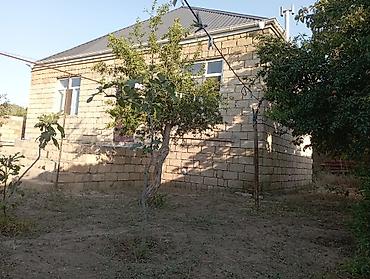 buzovnada torpaq: 6 sot, Biznes üçün, Mülkiyyətçi, Kupça (Çıxarış) — 9