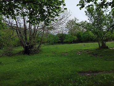 savalan torpaq satisi: 61 sot, Tikinti, Mülkiyyətçi, Kupça (Çıxarış) — 1