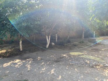 Həyət evləri və villaların satışı: 3 otaqlı, 100 kv. m, Kredit yoxdur, Yeni təmirli -da lalafo.az — 17 Həyət evləri və villaların satışı: 3 otaqlı, 100 kv. m, Kredit yoxdur, Yeni təmirli — 17