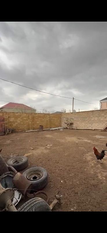 torpaq alışı: 4 otaqlı, 120 kv. m, Yeni təmirli — 2