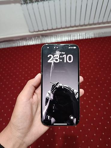 iphone x10: IPhone 16 Pro Max, Б/у, 512 ГБ, Серебристый, Зарядное устройство, Защитное стекло, Чехол, 94 % — 3
