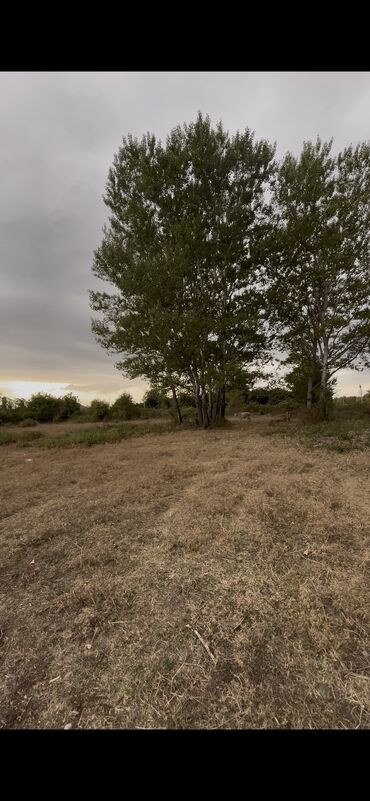 Torpaq sahələrinin satışı: 10 sot, Kupça (Çıxarış) — 10