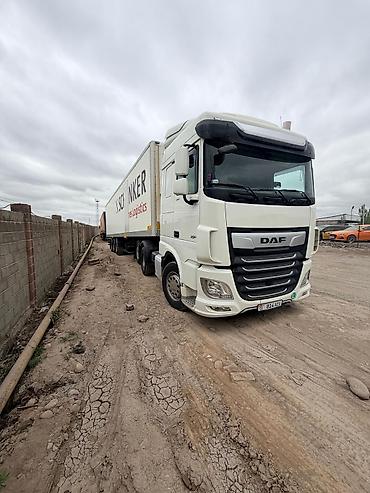 daf 2019: Тягач, DAF, 2020 г., Изотермический — 3