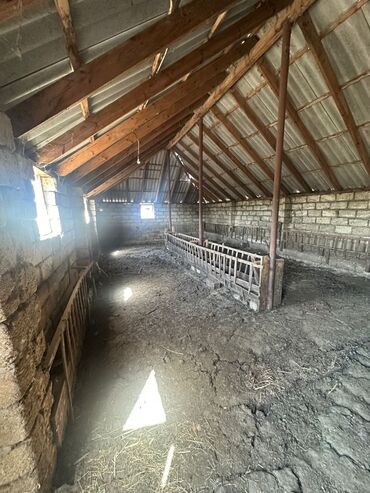 Torpaq sahələrinin satışı: 100 sot, Kənd təsərrüfatı, Makler, Kupça (Çıxarış) — 4