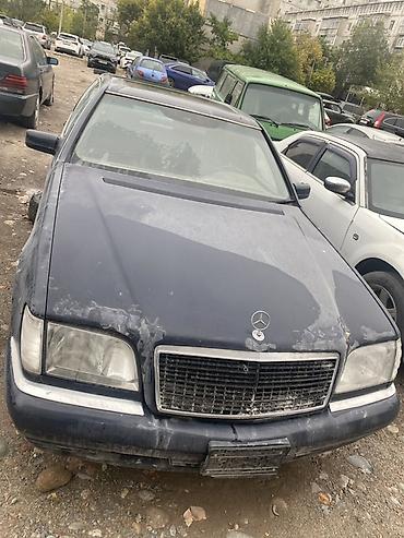 Mercedes-Benz S-Class: 1995 г., 3.2 л, Автомат, Седан