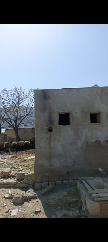 Torpaq sahələrinin satışı: 10 sot, Mülkiyyətçi — 9