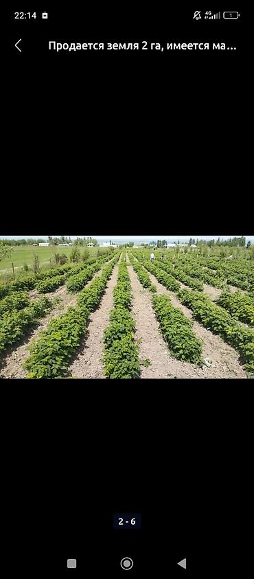 Продажа участков: 200 соток, Для бизнеса, Договор купли-продажи at lalafo.kg — 17 Продажа участков: 200 соток, Для бизнеса, Договор купли-продажи — 17